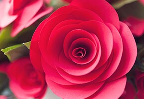 Tutoriel : une spirale de roses en papier