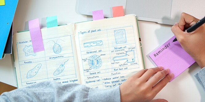 Un cahier dont les pages sont annotées à l'aide de marque-pages Post-it®, tandis qu'un étudiant prend des notes sur une note Post-it®
